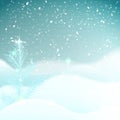 Winter background with frosty spruce pine snowbank with snowfall night sky. Greeting card for happy new year and christmas Royalty Free Stock Photo