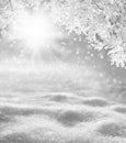 Winter background Royalty Free Stock Photo