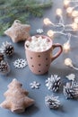 Winter background with hot drink with marshmallows, Christmas lights, fir tree and decorations. Royalty Free Stock Photo