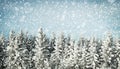 Winter background Royalty Free Stock Photo