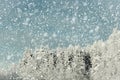 Winter background Royalty Free Stock Photo