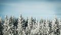 Winter background Royalty Free Stock Photo