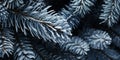 winter background image of frosted spruce branches and small drifts of pure snow