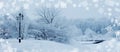 Winter background, landscape. Winter trees in wonderland. Winter scene. Christmas, New Year background Royalty Free Stock Photo