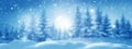 Winter  background .Merry Christmas and happy New Year greeting card with copy-space. Christmas landscape with snow and fir tree Royalty Free Stock Photo