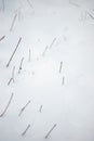 winter background minimalism nature. Branches from under the snow Royalty Free Stock Photo