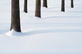 Winter background with minimalist landscape Royalty Free Stock Photo