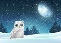 Winter background, owl sitting in snow under moon Royalty Free Stock Photo