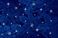 Winter background with pine branches on dark blue background. White stars and golden snowflakes on blue Royalty Free Stock Photo