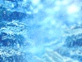 Winter background. Snow falling on pine branches. Royalty Free Stock Photo