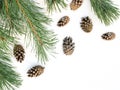 Winter background with snow fir branch and cones. Coniferous tree with needles Royalty Free Stock Photo