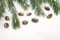Winter background with snow fir branch and cones. Coniferous tree with needles Royalty Free Stock Photo