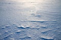 Winter background from snow shiny in the sun Royalty Free Stock Photo