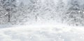 Winter background. Snowy forest landscape, snow flakes falling. Chistmas template