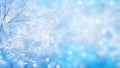 Winter background with snowy and iced branches on blue background with bokeh