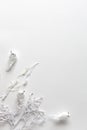 Wihte birds and tree branches coevered with snow on white background Royalty Free Stock Photo