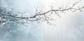 winter background, winter holidays concept, Empty panoramic winter,