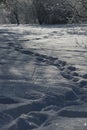 Winter background. Winter path in sunset hours. Winter background. Evening darkness and path in the park