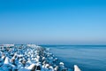 Winter Baltic jetty Royalty Free Stock Photo