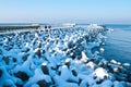 Winter Baltic jetty Royalty Free Stock Photo