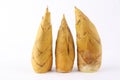 Winter bamboo shoots Royalty Free Stock Photo