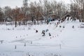 Winter bank of the Ural River with an ice slide for children to ride Royalty Free Stock Photo