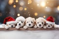 Winter banner with cute puppy. Group of dogs with red Santa hats above white banner looking at camera. Christmas Royalty Free Stock Photo