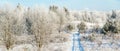 Winter banner. Frosty trees and tiny countryside road through snow Royalty Free Stock Photo