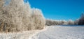 Winter banner. Frosty trees and tiny countryside road through snow Royalty Free Stock Photo