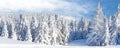 Panorama banner, ski resort Kopaonik, Serbia Royalty Free Stock Photo