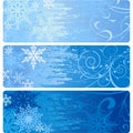 Winter Banners