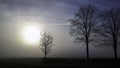 In winter the bare trees contrast beautifully against the austere skies with a soft faint sun rising over the damp farmlands.