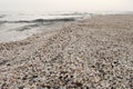 Winter beach of shells at black sea Royalty Free Stock Photo