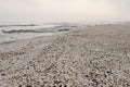 Winter beach of shells at black sea Royalty Free Stock Photo