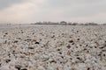 Winter beach of shells at black sea Royalty Free Stock Photo