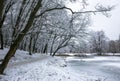 Winter beautiful day in park near frozen lake Royalty Free Stock Photo