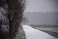 Winter landscapes of Bavaria