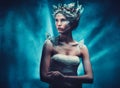 Winter beauty fantasy woman portrait. Royalty Free Stock Photo