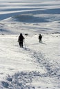 Winter beauty-snow