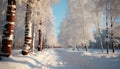 Winter beauty snow covered forest, frozen tree, tranquil landscape generated by AI Royalty Free Stock Photo