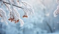 Winter beauty, snow covered tree branch in frost generated by AI