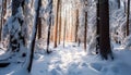 Winter beauty snow covered trees, sunlight, tranquil scene, nature artwork generated by AI