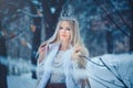 Winter Beauty Woman. Beautiful fashion model girl with snow hairstyle and makeup in the winter forest. Festive makeup and manicure Royalty Free Stock Photo