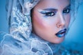 Winter Beauty Woman. Christmas Girl Makeup. Royalty Free Stock Photo