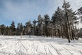 Winter bellow Barania Gora hill in Beskid Slaski mountains in Poland