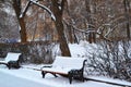benches under the white snow in the park in winter Royalty Free Stock Photo