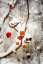 Winter berry