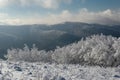 Winter in the Bieszczady National Park