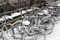 Winter Bikes in the city of Utrecht Royalty Free Stock Photo