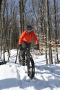 Winter Biking Royalty Free Stock Photo